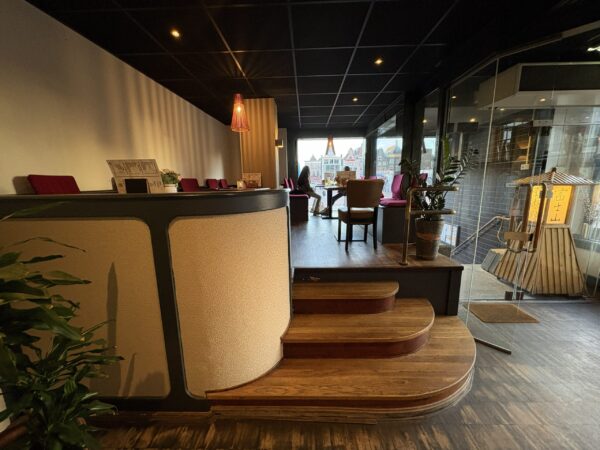 Fujiyama aan de Grote Markt in Groningen: Japans restaurant uit eten tip