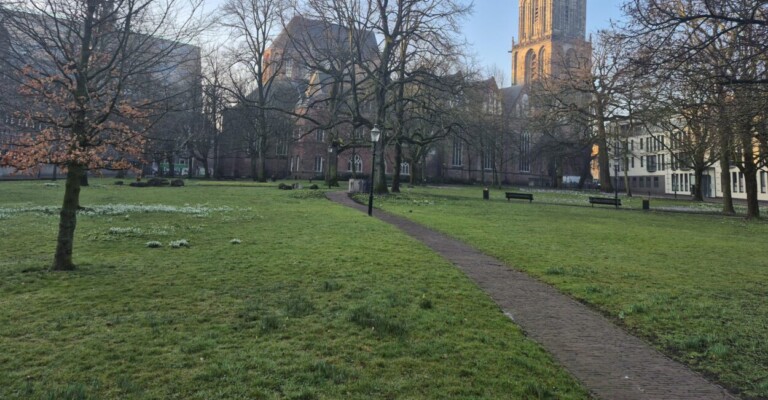 Ontdek het Martinikerkhof: het groene hart van Groningen